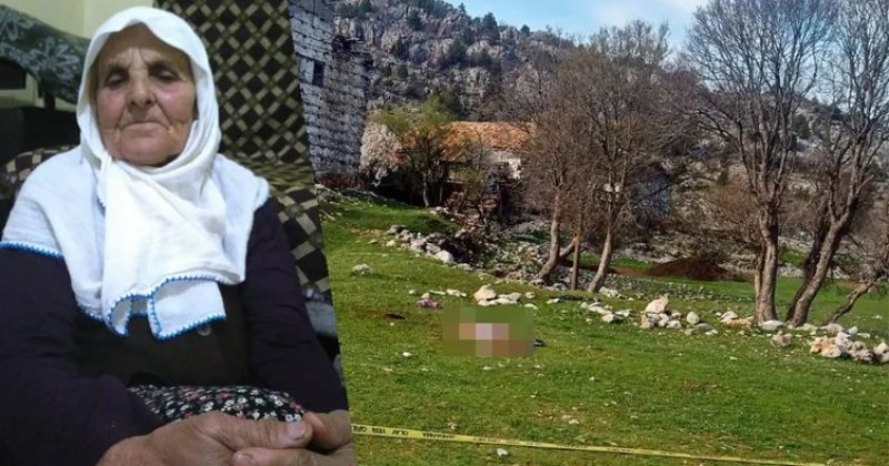 3 köpeğin saldırdığı yaşlı kadın ölü bulundu