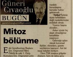 Mitoz Bölünme