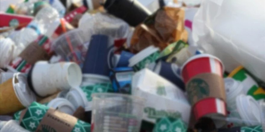 AB, bazı tek kullanımlık plastik ambalajları yasaklıyor