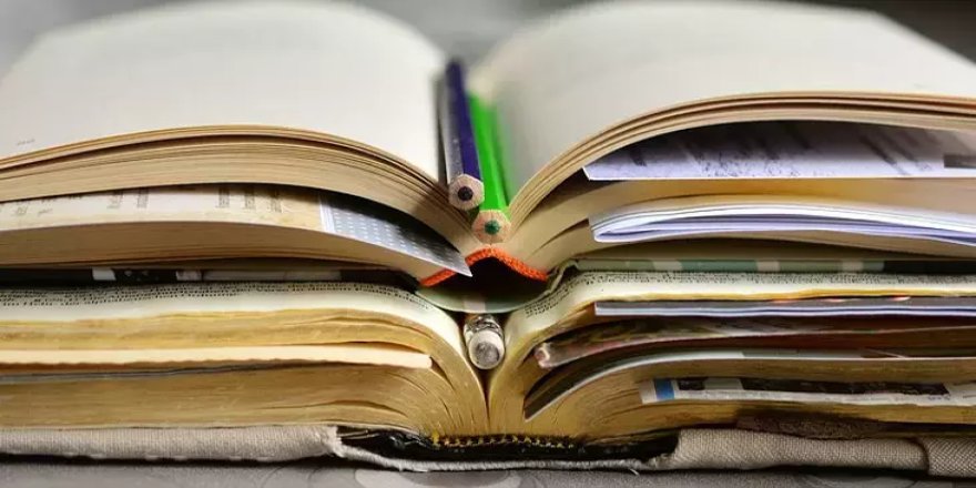 Mantıklı düşünmeyi öğreten bir müfredata ihtiyaç var!
