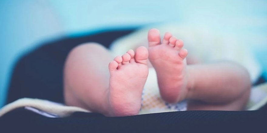 Türkiye'de doğum hızında endişelendiren düşüş