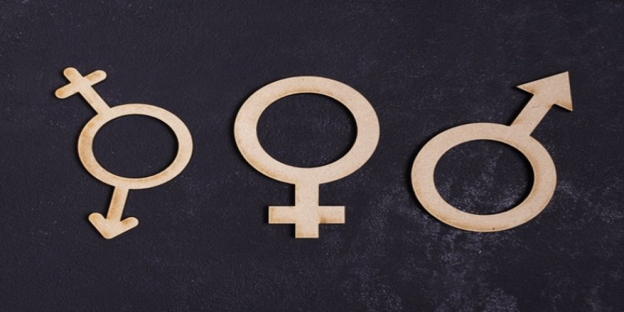 İnsan fıtratını tahrip etmenin son aracı: Cinsiyet değiştirme