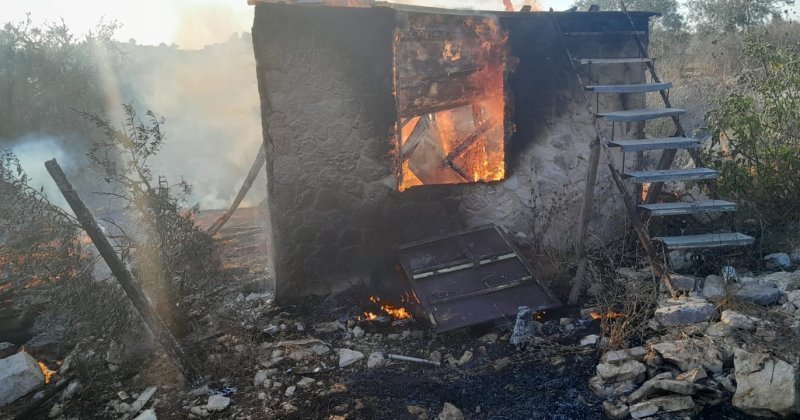 Fanatik yahudiler Cenin'de kulübe ve zeytin ağaçlarını yaktı