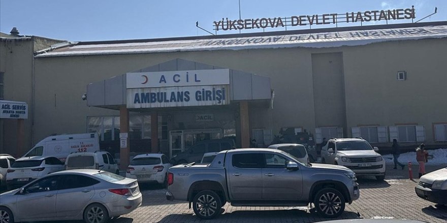 Hakkari'de sahipsiz köpeklerin saldırısına uğrayan çocuk, ağır yaralandı