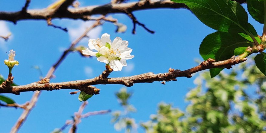 Doktor tedavi eder, şifa veren Allah’tır...