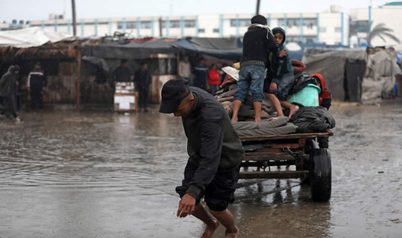 Hayatını kazanmak için at arabalarını çekmek