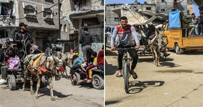 Gazze'de yakıt krizi nedeniyle kentte ulaşım at ve eşek arabalarıyla sağlanıyor