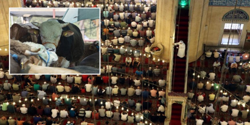 Sadakat ve teslimiyetin nişanesi: Kurban (Cuma hutbesi)