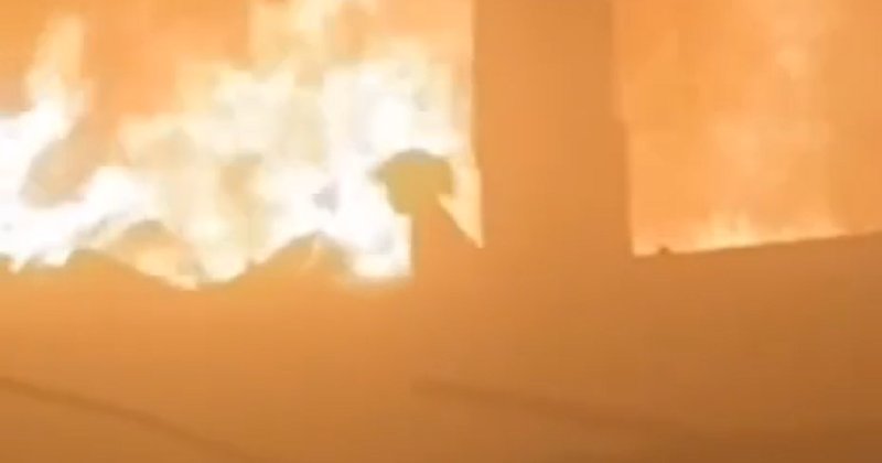 Siyonist korkaklar çocukları uykularında diri diri yakmaya devam ediyor