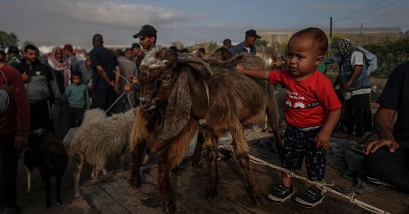 Gazze bağlamında Kurbana dair teolojik mülahazalar