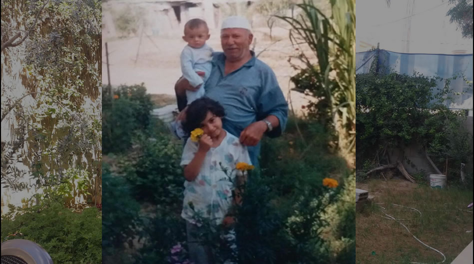 "Büyükbabam her ağacı hatırlar"