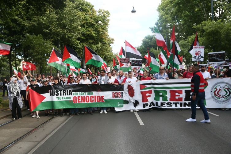 Avusturya'da Filistin'e destek gösterisi