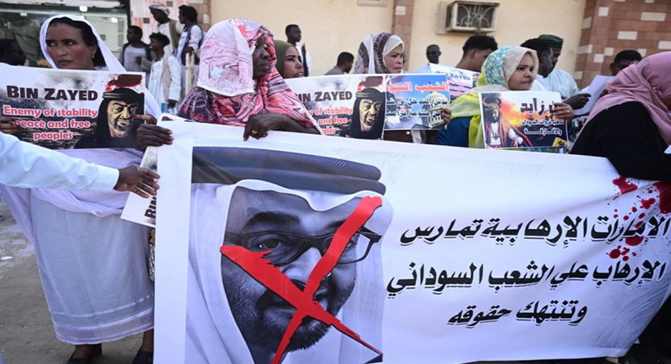 Kaos Emirliği BAE savaşı nasıl körüklüyor ve serbestçe dolaşıyor