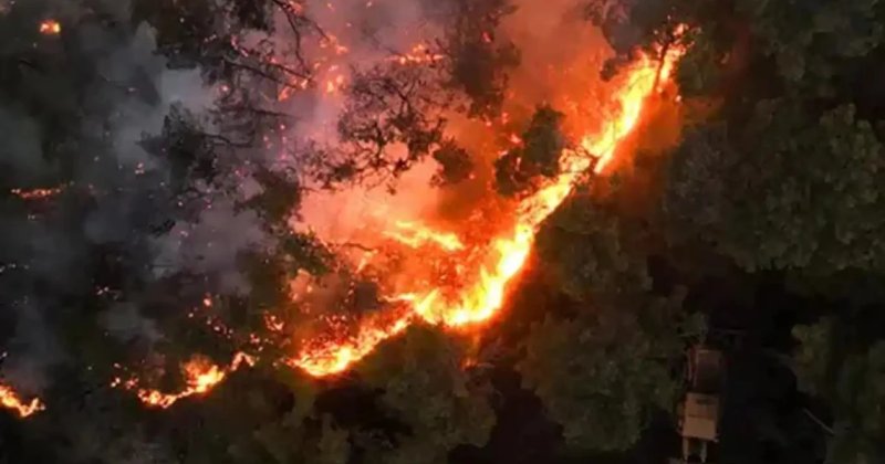 Lazkiye'de orman yangını 3 gündür sürüyor!