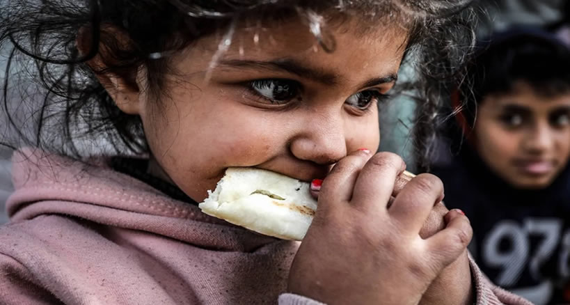 Gazze'de ekmek artık bir hazine, açlık ise günlük bir katil