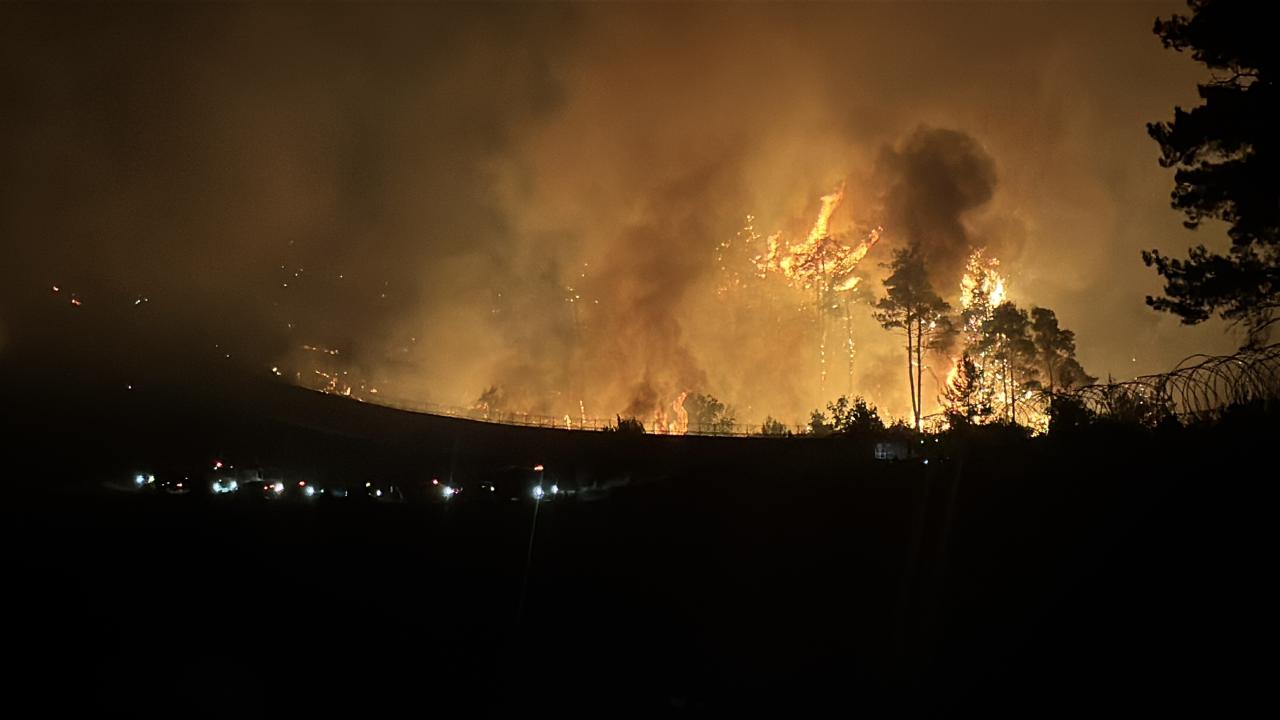 Suriye'de Lazkiye, Tartus ve Hama'daki orman yangınları sürüyor