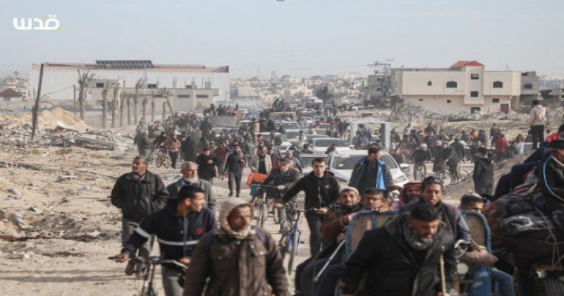 Kaplumbağa Adası'ndan Filistin'e: Yerli halkların topraklarından zorla çıkarılması üzerine