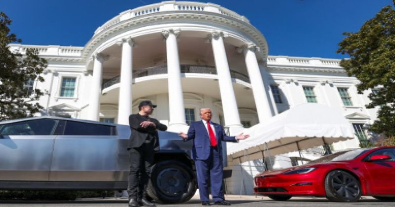 Hayır, 'inekler' ve onların teknolojileri dünyayı kurtarmayacak