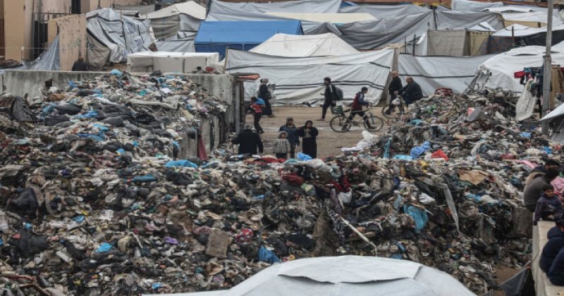 Gazze'de fareler hayatı yaşanmaz hale getiriyor