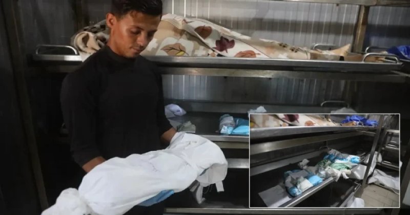 Gazze'de bebekler katlediliyor