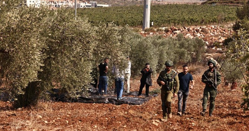 Yahudi işgalciler Batı Şeria’da Filistinli çiftçilere saldırdı