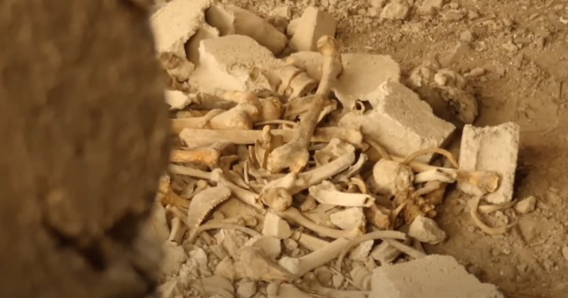 Esed rejiminin, toplu mezarları taşıdığı ortaya çıktı