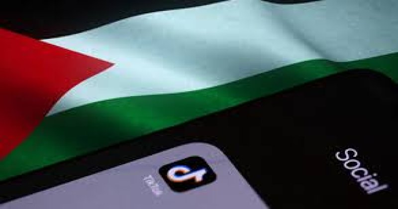 Dijital hasbara: TikTok