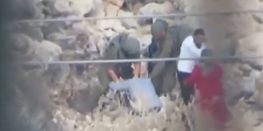 İsrail barbarlığı gölgesinde zeytin hasadı