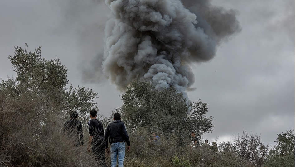 Yerleşimcilerin terörü Batı Şeria'daki zeytin hasadına engel oluyor