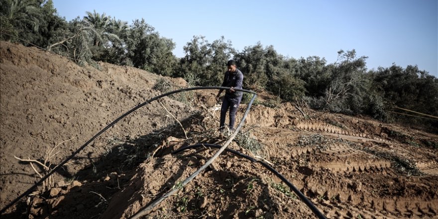 BM: İsrail saldırıları sonucu Gazze'de tarım altyapısının yüzde 89'u hasar gördü