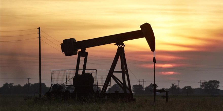 Trump yönetimi, Alaska'daki rezervde yaban hayatını koruyan sondaj sınırlamalarını kaldırdı