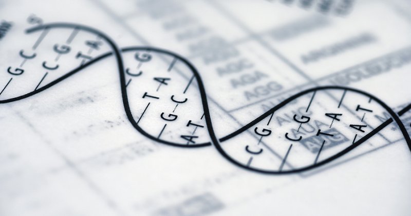 Bilgi, ‘kılıç' gibidir; ‘mücahid'in elinde de, ‘eşkıya'nın elinde de, düşman tarafı etkisiz hale getirmede iş görür!