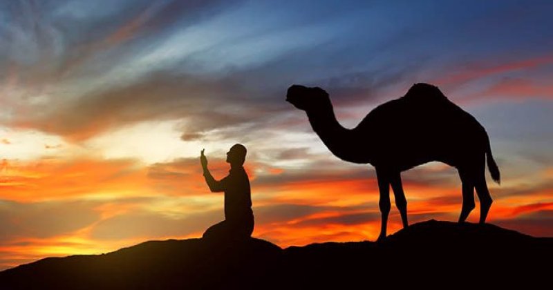 Şükür duygusunun unutulan güzelliği