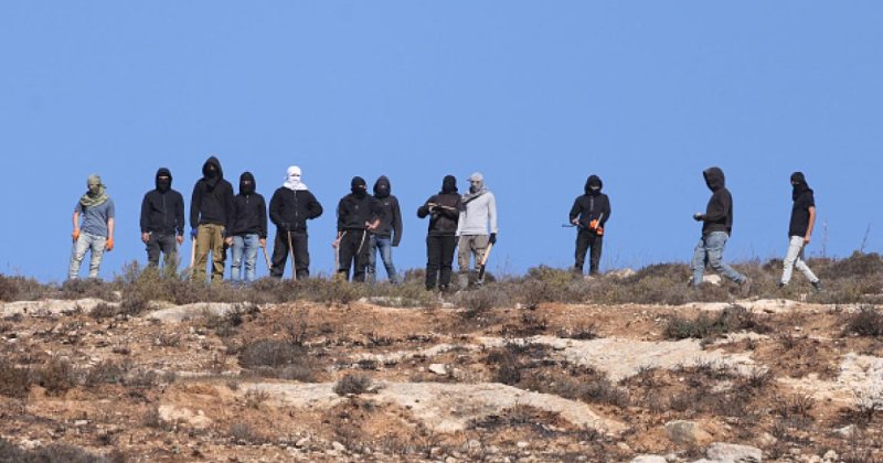 Yahudi işgalciler Ramallah’ta Filistinlilere ait koyunları zehirledi
