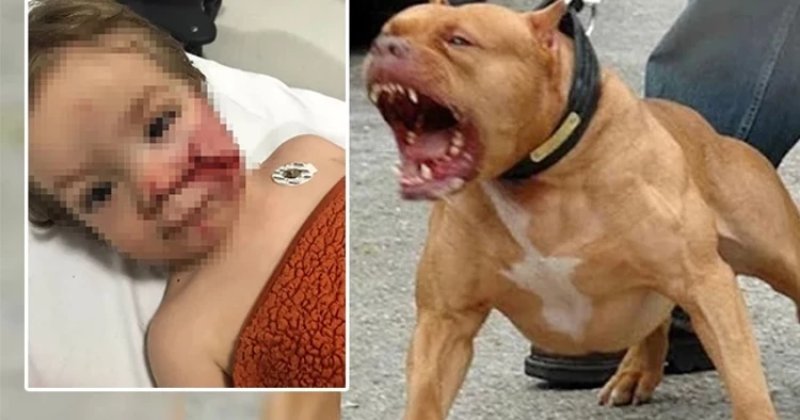 Bu masum çocukların yaşadığı dehşetin hesabını kimden sormak gerekiyor?