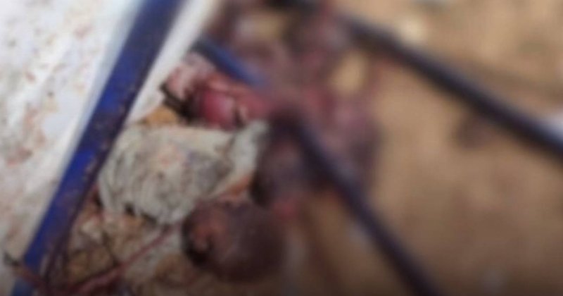 Sudan'da HDK'nın İHA saldırısında 46'sı çocuk 80 kişi öldü