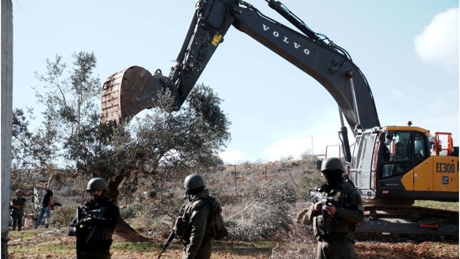 Tohumları çalarak kökleri silmeye çalışmak