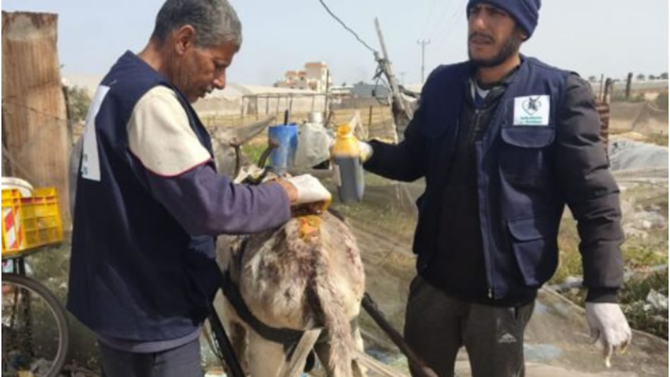 İsrail’in sömürgecilik araçları olarak hayvanlar