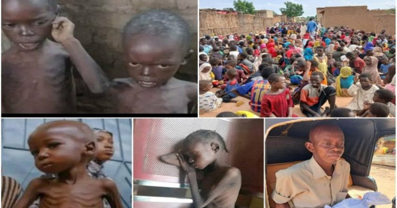 Sudan'da 33 milyon kişi açlıkla mücadele ediyor
