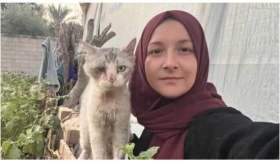 Gazze soykırımı: Bir ömür nasıl tek bir yıla sığdırıldı?