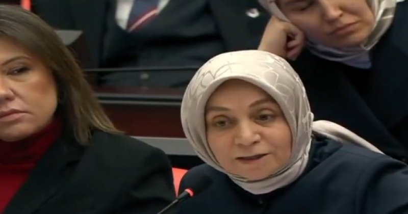 Leyla Şahin Usta'nın meclis konuşması siyasal Alevicileri rahatsız etti