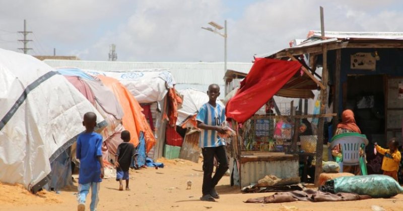 Somali Hükümeti: "Görülmemiş kuraklık nedeniyle insani felaket kapıda"