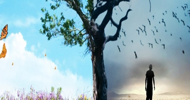 Kokuşmuş düzene karşı tek çıkış İslam'dır