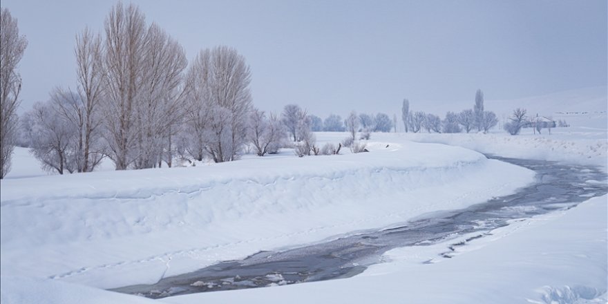 Erzurum, Van, Ağrı ve Muş'ta kar nedeniyle eğitime bir gün ara verildi