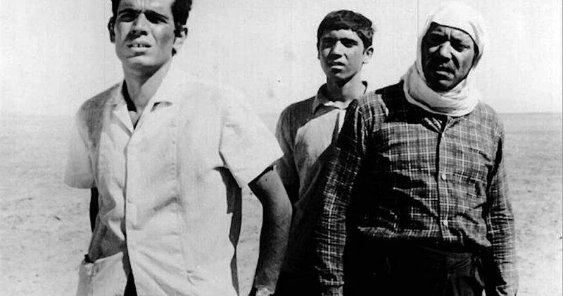 "The Dupes" üzerine bir deneme