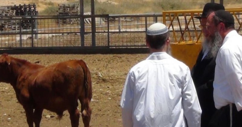 Bölgesel savaşın ardındaki tapınak ideolojisi