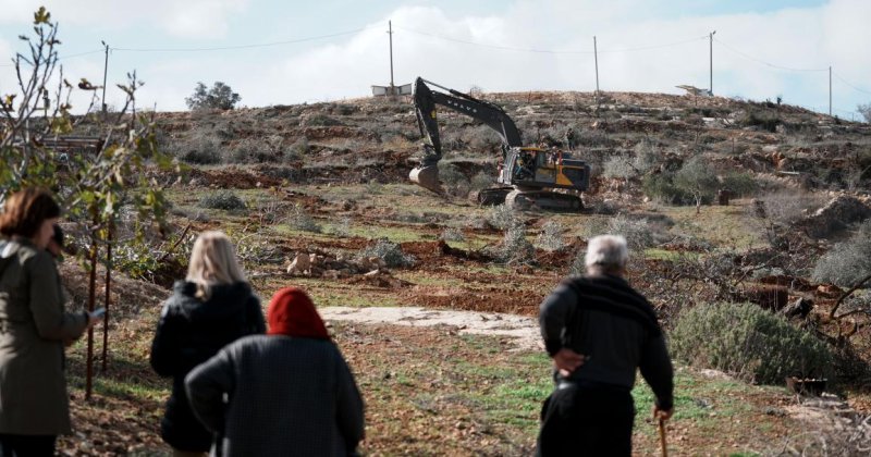 İşgal yönetimi tampon bölgeler oluşturmak için Batı Şeria’da yüzlerce ağacı söktü