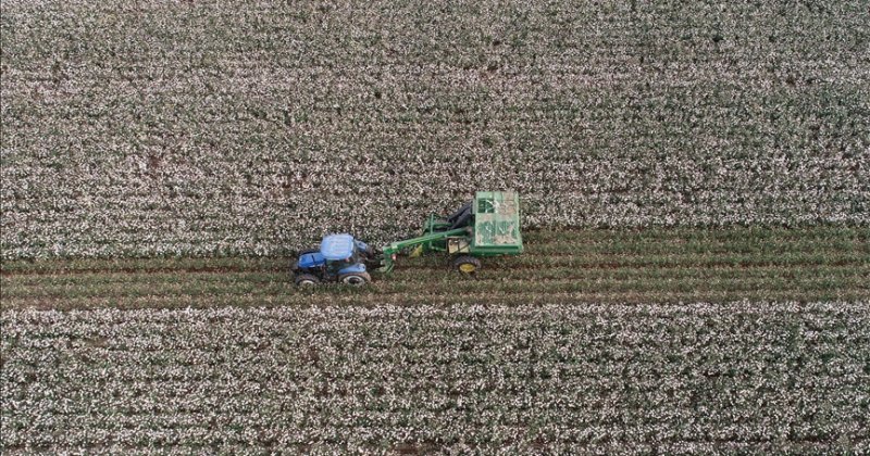 Hürmüz Boğazı'ndaki aksamalar dünya genelinde çiftçileri zora sokuyor