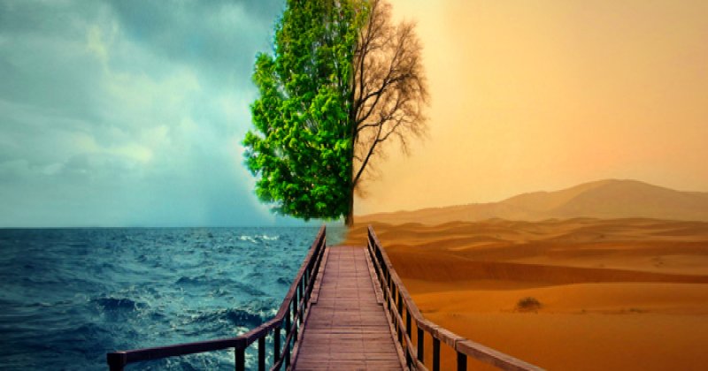 Batının vitrini ve hakikatin sesi