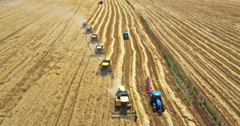 Bölgesel savaşın faturası tarım sektörüne yansıdı